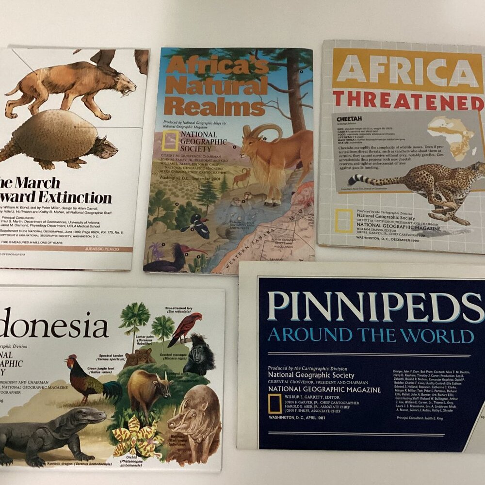 National Geographic Society Books Africa Animals Extinction School Learning